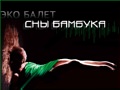 Золотое сечение