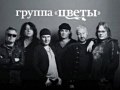 Группа Стаса Намина ЦВЕТЫ