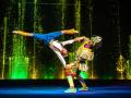 Circus show "Astrolabe"