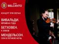 Концерт при свечах. Вивальди Времена года. Бетховен. К Элизе. Мендельсон. Сон в летнюю ночь
