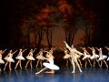 Балетный спектакль "Лебединое озеро"