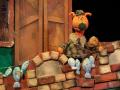 How the fox bear cheated