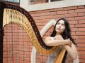 Organ evenings in Kuskovo. Harp and organ