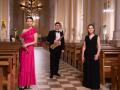 Organ evenings in Kuskovo. Harp. saxophone and organ