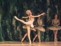 Ballet "Don Quixote"