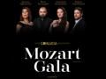 «Mozart Gala»