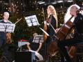 Гарри Поттер. HighTime Orchestra. Концерт в оранжерее
