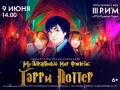Музыкальный мир фэнтези: Гарри Поттер