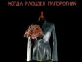 Когда расцвел папоротник