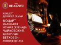 Концерт для всей семьи. Моцарт. Маленькая ночная серенада. Чайковский. Щелкунчик. Бетховен. Лунная соната