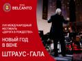 Новый год в Вене. Штраус - Гала