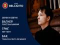 Звуки и свечи. Вагнер. Полет валькирий. Григ. Пер Гюнт. Бах. Токката и фуга ре минор